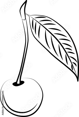 cherry berry with a leaf in black and white