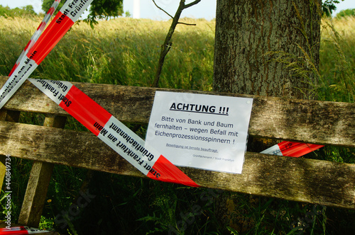 A bench under an oak tree is closed to walkers due to infestation by oak processionary moth. photo