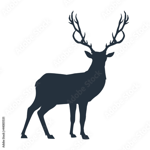 reindeer wild silhouette © Jemastock