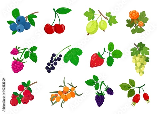 Bright fresh juicy Berry with leaves collection.
