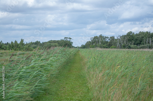 Landscape wicken fen photo