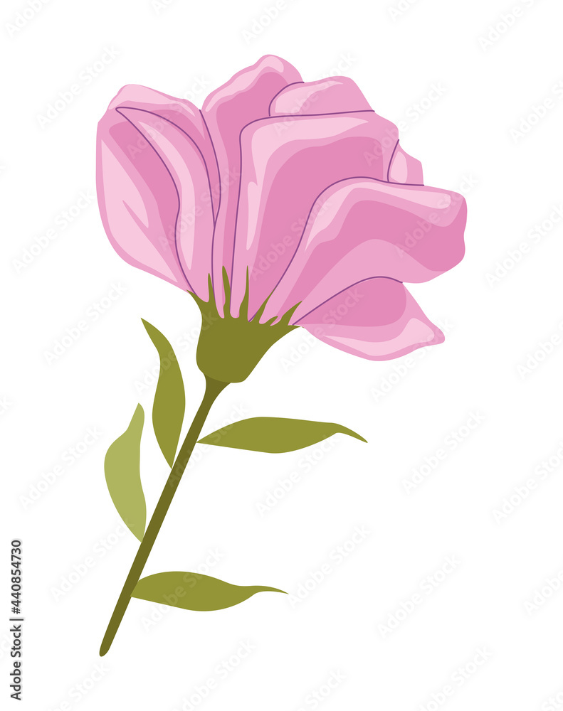pink spring flower pink spring flower