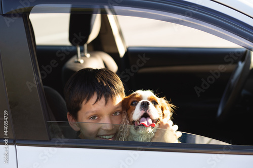 Teenager boy smiling looking through window of car with his dog cavalier king charles spaniel, dreaming to go on a trip © Татьяна Волкова