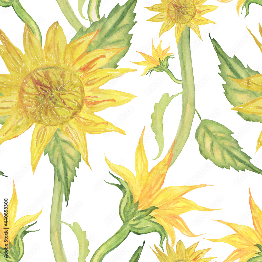 seamless pattern sunflowers with leaves and branches on a white background seamless pattern sunflowers with leaves and branches on a white background