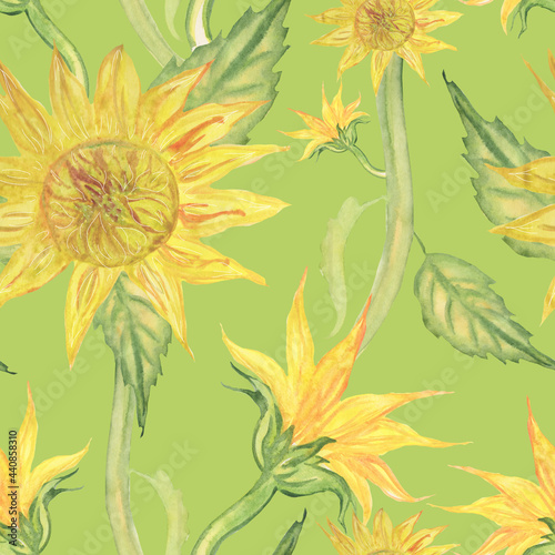 seamless pattern sunflowers with leaves and branches on a green background