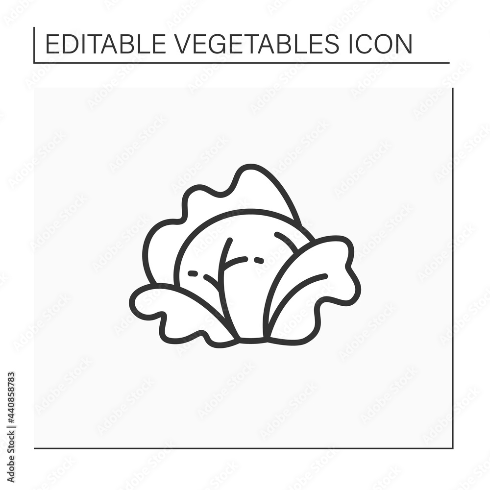 Cabbage line icon. Fresh leaf vegetable. Edible plant. Vegetarian, healthy nutrition.Agriculture concept. Isolated vector illustration. Editable stroke