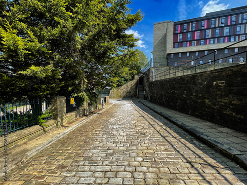 View down, Westbrook Street, with old stone cobbles, old trees, and modern buildings, in the post industrial city of, Bradford, Yorkshire, UK photo