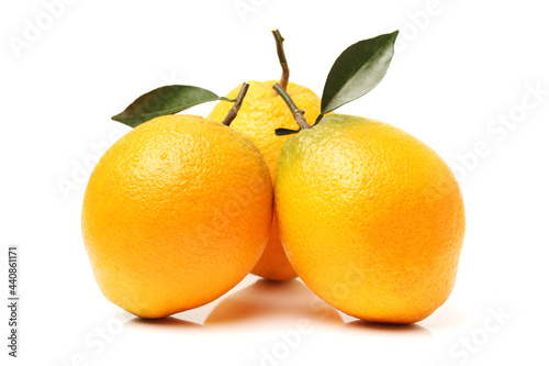 Orange fruit on the white background 