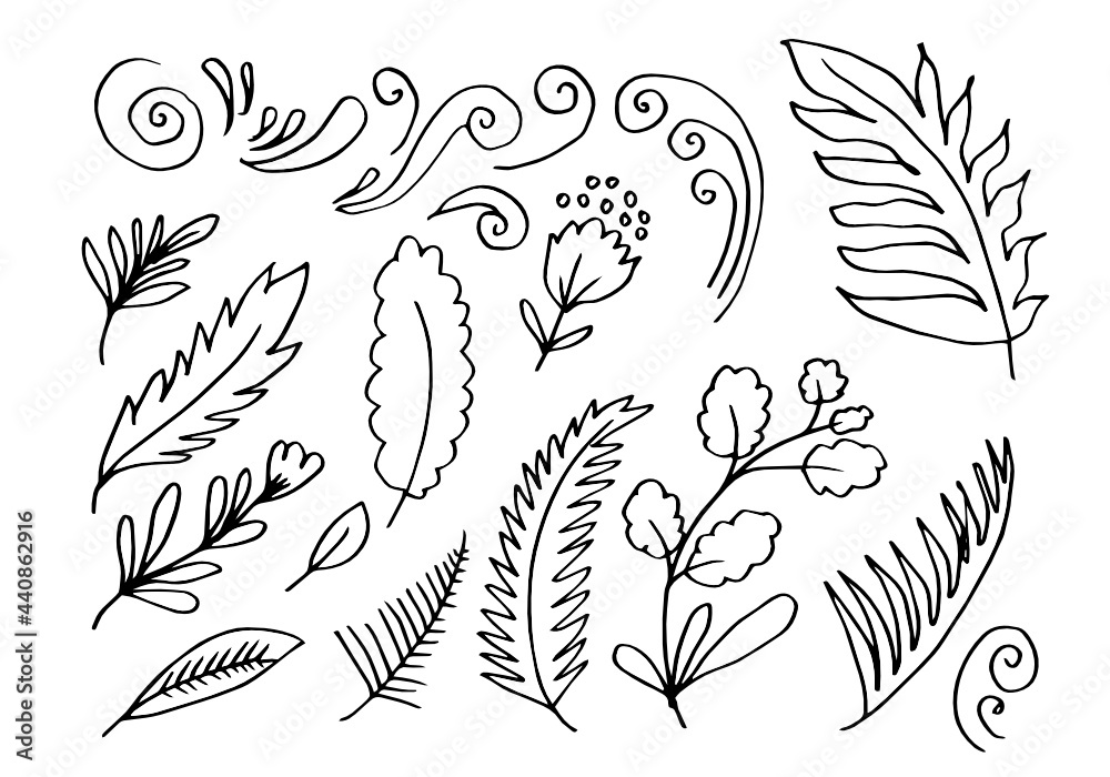 Obraz premium a collection of hand-drawn flower images such as bellflower, chrysanthemums, sunflowers, cotton flowers, and tropical leaves