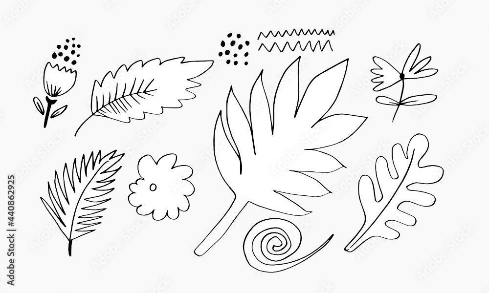 Fototapeta premium a collection of hand-drawn flower images such as bellflower, chrysanthemums, sunflowers, cotton flowers, and tropical leaves