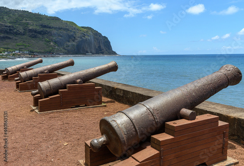Картината върху платно St. Denis cannons