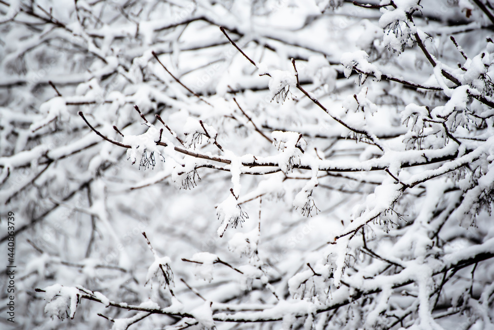 Under the snow Under the snow