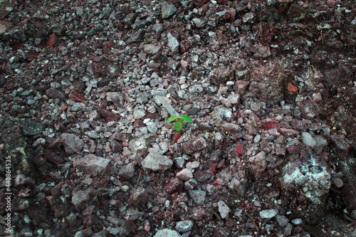 Life is reborn after gravel exploration