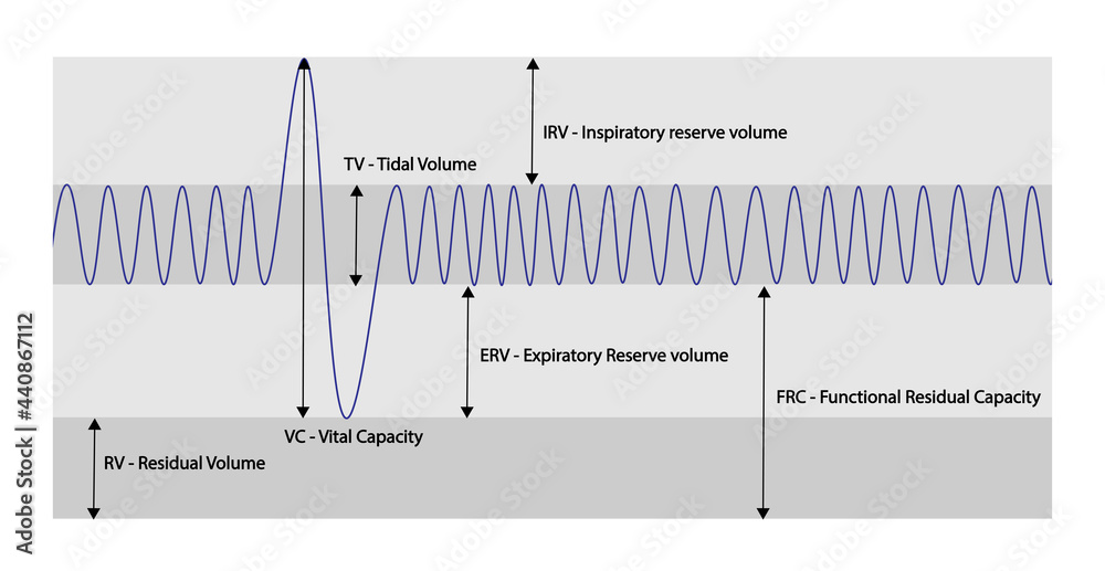Spirometry Curve analyses. Illustration of spirometry curves. Stock Illustration Adobe Stock