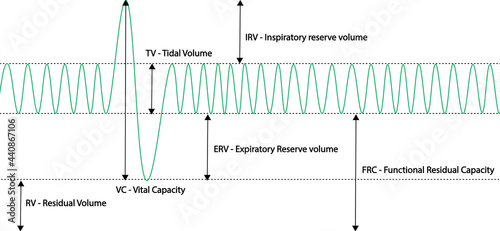 Spirometry Curve analyses. Illustration of spirometry curves. photo