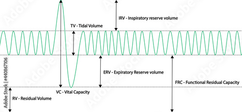 Spirometry Curve analyses. Illustration of spirometry curves.
