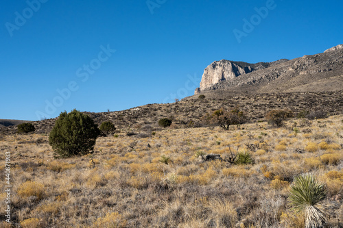 El Capitan Rises Above the Desert Valley Floor