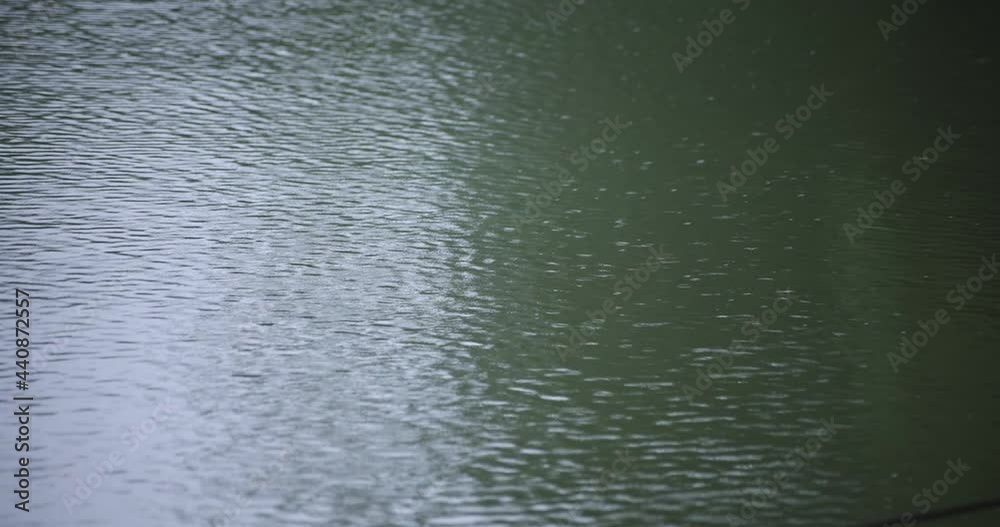 A slow motion of rain drop in the water the pond rainy day A slow motion of rain drop in the water the pond rainy day