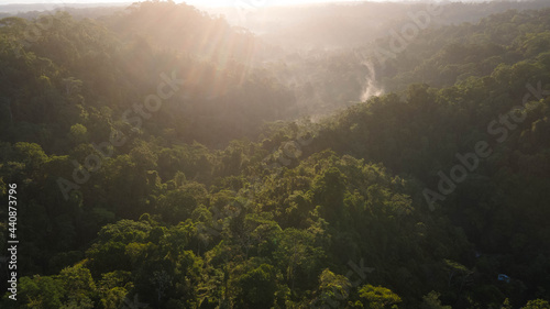 jungle sunrise parc national