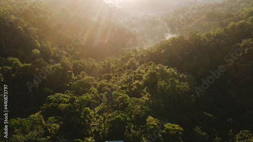 Fototapeta Naklejka Na Ścianę i Meble -  jungle sunrise parc national