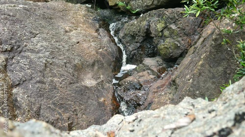 Water flowing over the rocks at Youngs Creek Falls, north of Orbost, Gippsland, Victoria, Australia, December 2020 photo