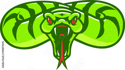 Aggressive Snake Opening Its Mouth Attacking the Prey Sport Logo