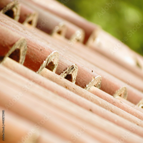 roof tiles