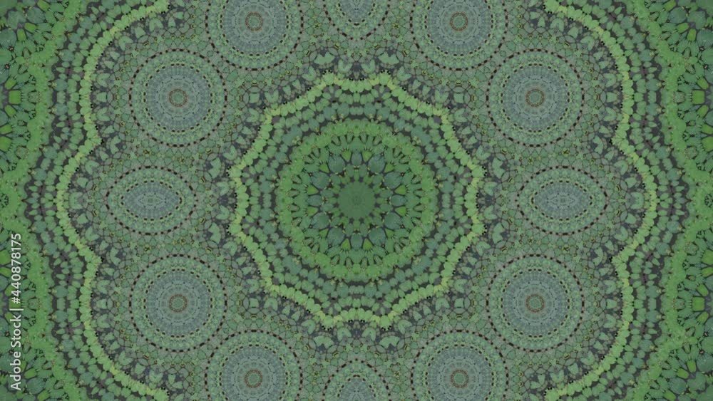 Green abstract background of green plant. Symmetry view