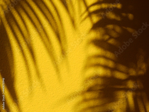 shadow of palm leaf on yellow wall texture