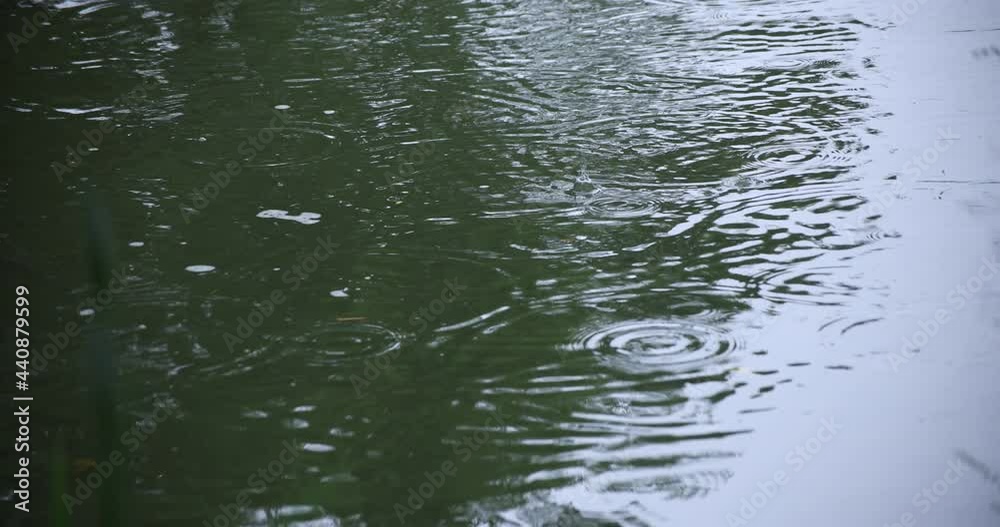 A slow motion of rain drop in the water the pond rainy day A slow motion of rain drop in the water the pond rainy day