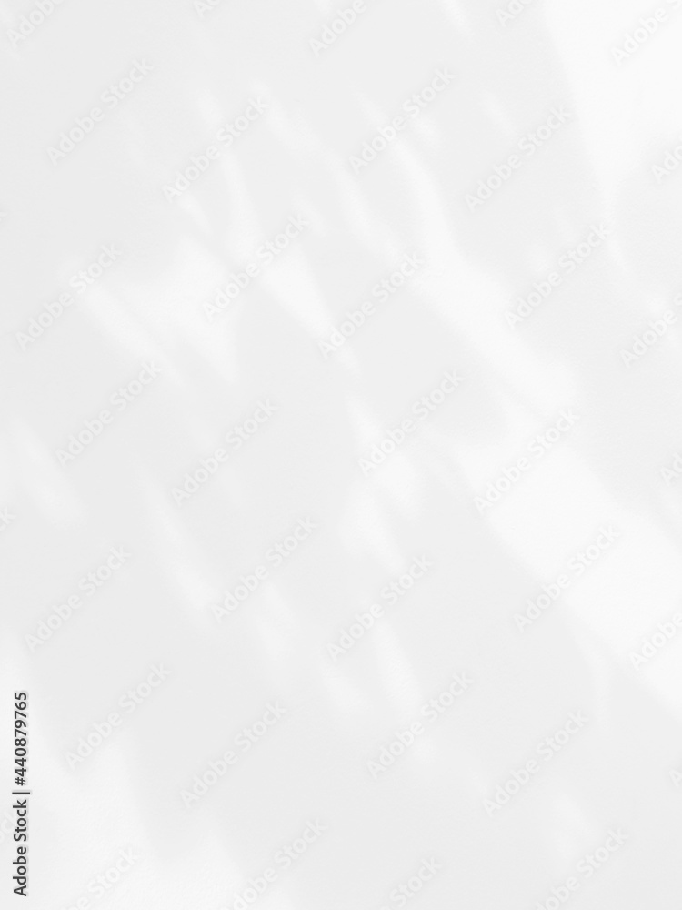 abstract shadow of leaves on white wall