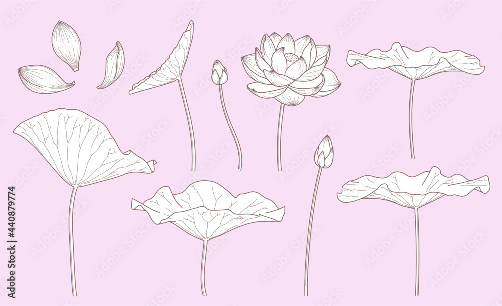 シンプルな蓮の花のイラスト 線画 Stock Vektorgrafik Adobe Stock