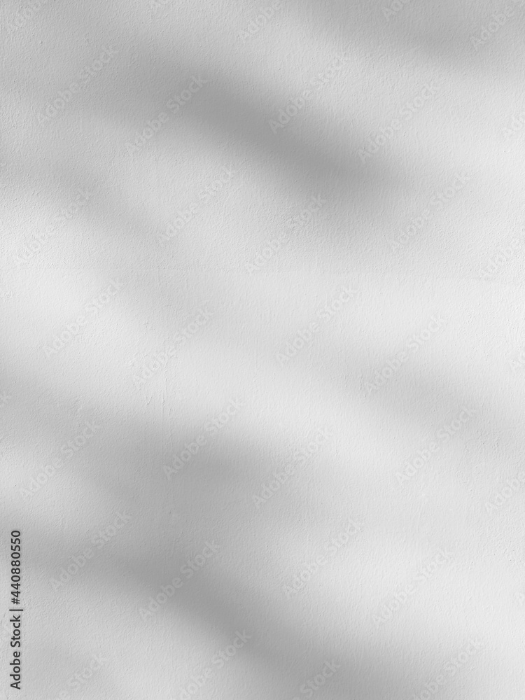 abstract shadow of leaf on white wall background abstract shadow of leaf on white wall background