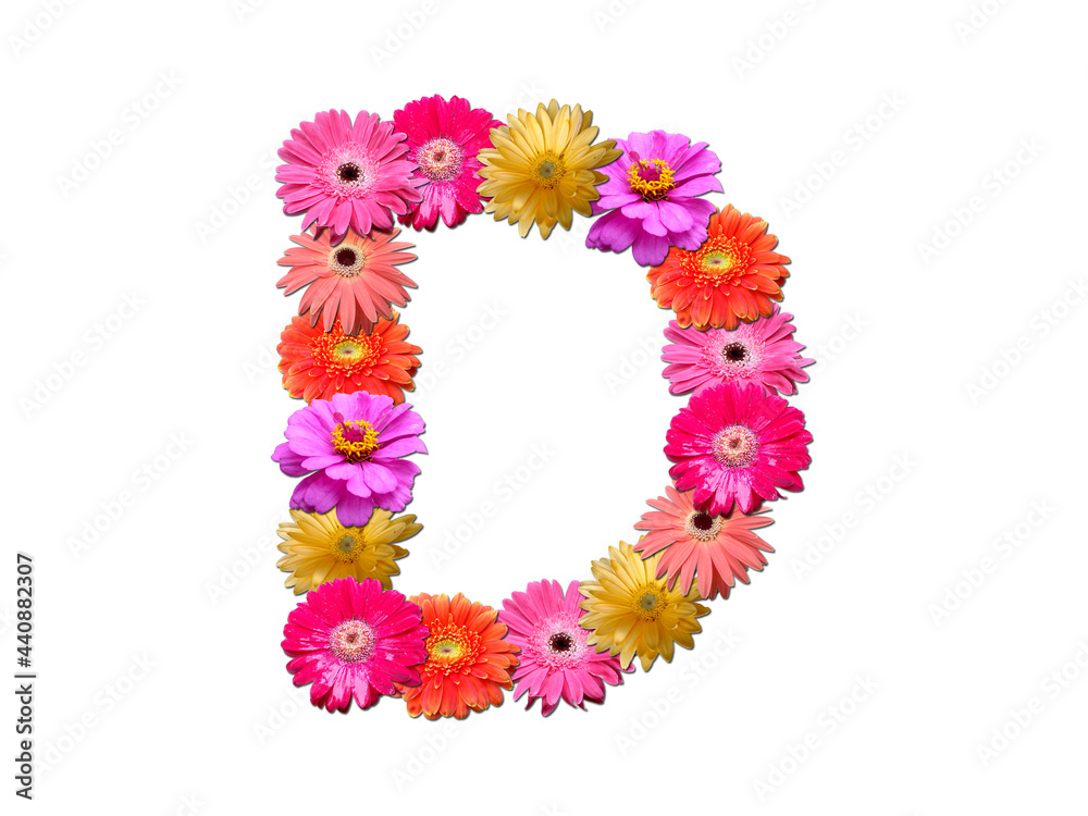 Font made from flowers. Arrangement flowers into letter. floral lettering on a white background. Font flower or letter flower.