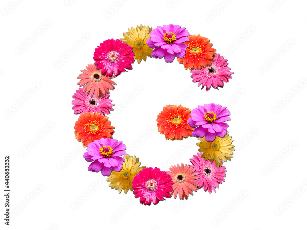 Font made from flowers. Arrangement flowers into letter. floral lettering on a white background. Font flower or letter flower.