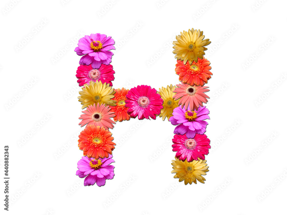 Font made from flowers. Arrangement flowers into letter. floral lettering on a white background. Font flower or letter flower. Font made from flowers. Arrangement flowers into letter. floral lettering on a white background. Font flower or letter flower.