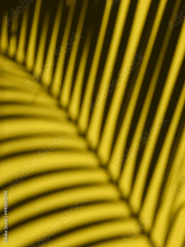 shadow palm leaves on yellow wall background