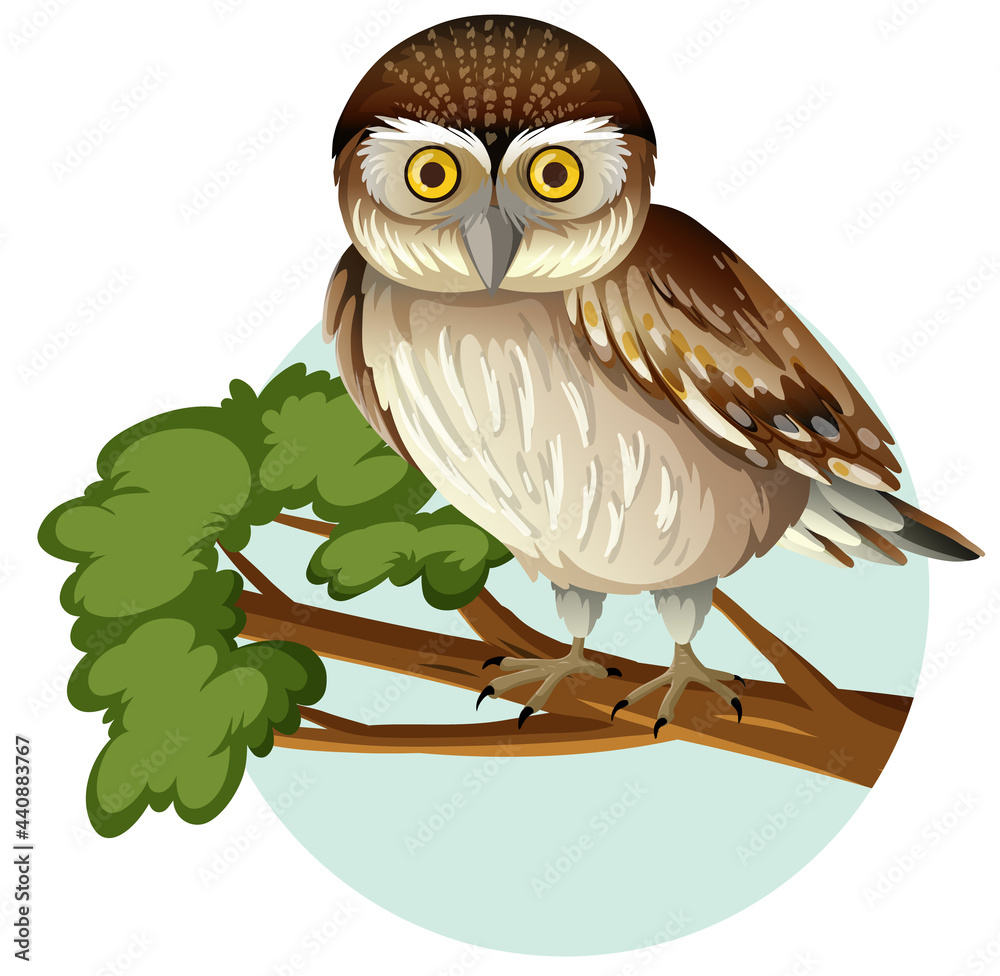 Obraz premium Elf owl standing on branch in cartoon style isolated on white background