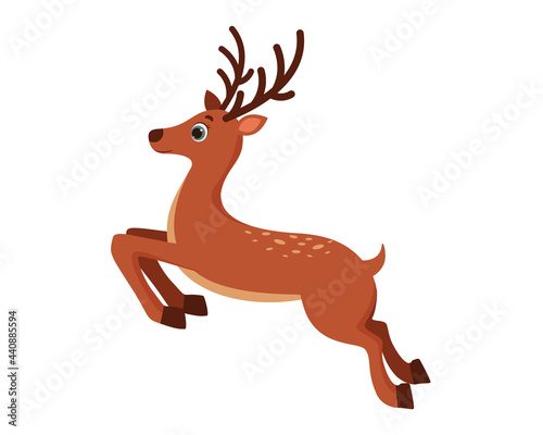 Christmas deer in cartoon style. Vector illustration of animals. Isolated on white background  © HasanovaRuzana