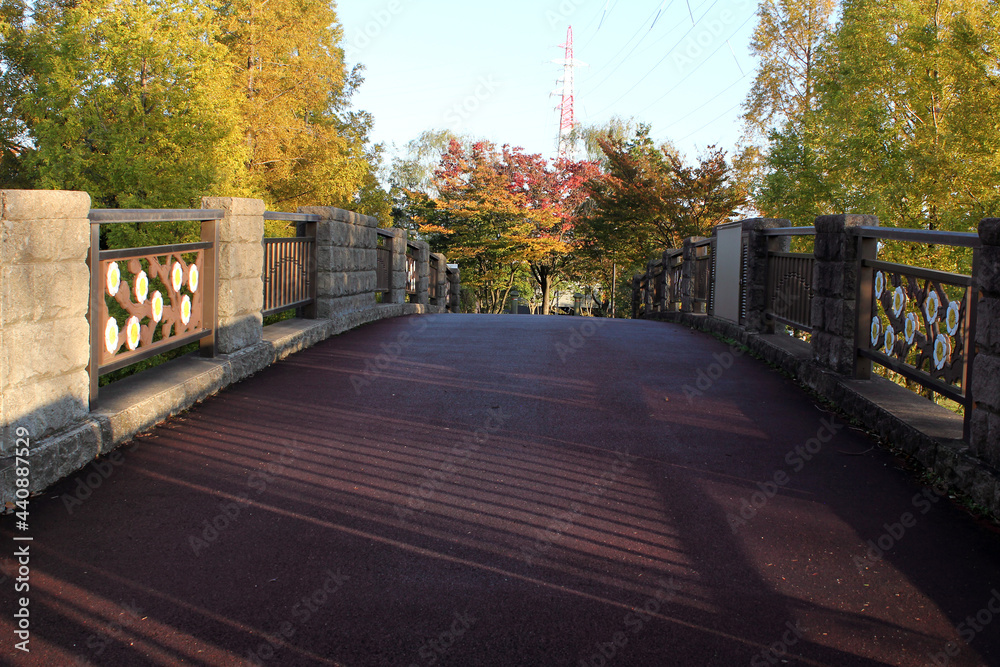 Obraz premium 公園の小さな橋と紅葉と電波塔