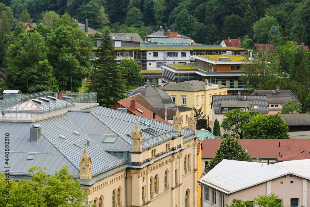 Fototapeta premium Dachlandschaft mit Schieferdach, Blechdach und begrüntem Dach