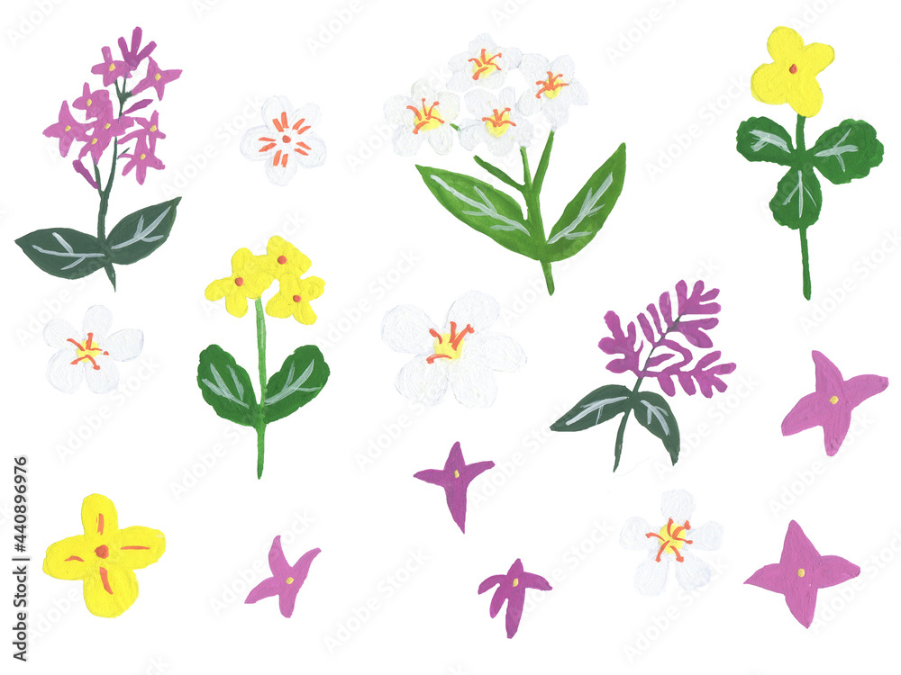 Different colorful gouache flowers on white background