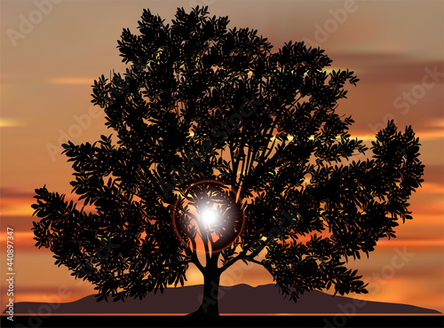 sunlight through large tree on orange background