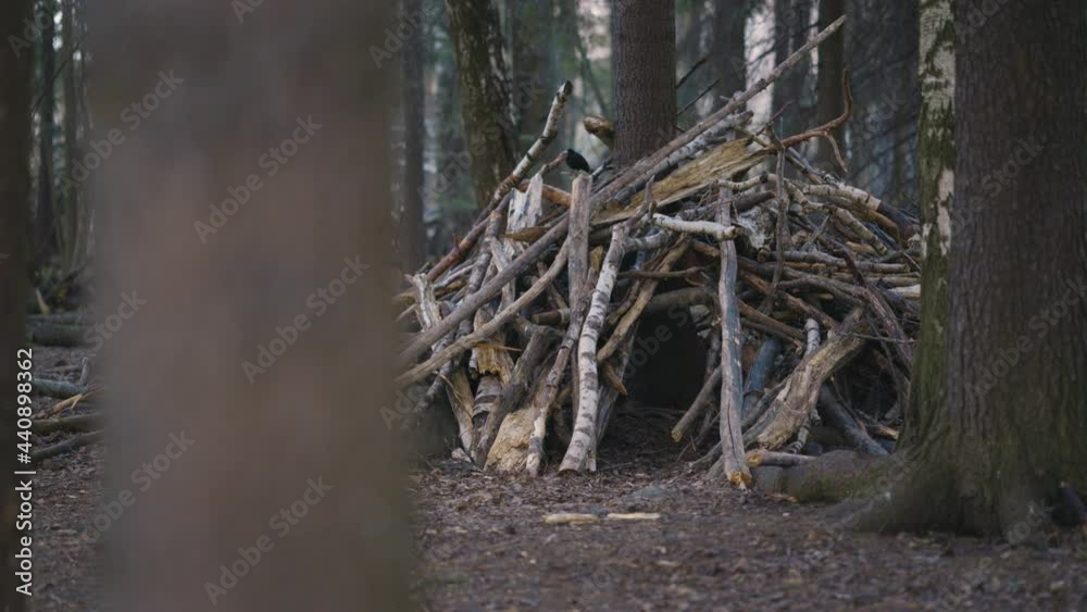 Pan of small hut built out of different tree branches in forest Pan of small hut built out of different tree branches in forest