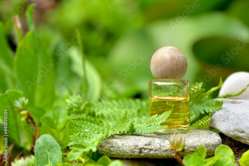 essential oil bottle on a  stone in fern foliage