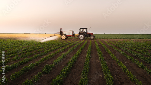 Tractor spraying vegetable field in sunset.