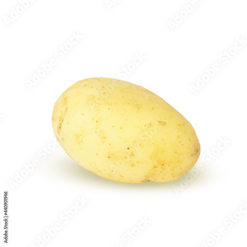 young potatoes isolated on white. a whole fresh vegetable. new harvest