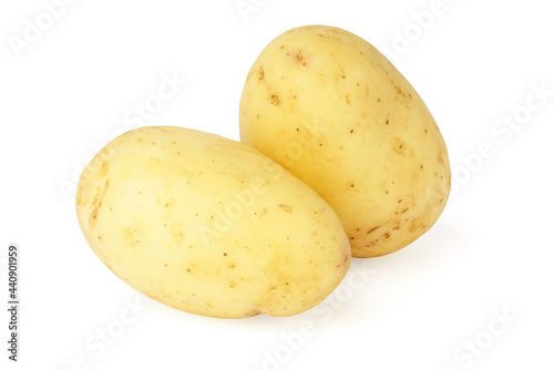 young potatoes isolated on white. two whole fresh vegetables. new harvest