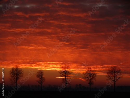 Under a bloodred sky. Dramatic sunset. Deep red colours. Bloedrode zonsondergang. Panoramic view. Background