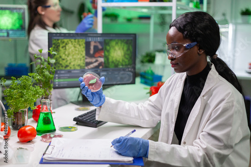 African chemist woman analyzing vegan beef meat for biochemistry experiment. Biologist researcher examining food genetically modified using chemical substance typing biological expertise on computer.